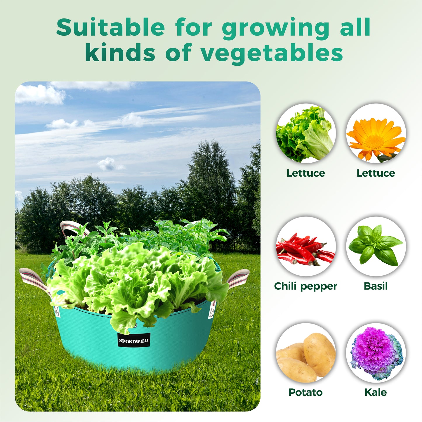 SPONDWILD 2 Pack 3 Compartment Potato Grow Bag,Vegetable Growing BagThickened PE Garden Pots with Drainage Holes Branch-Binding Holes, Reusable Plant Bag for Vegetables、Flowers