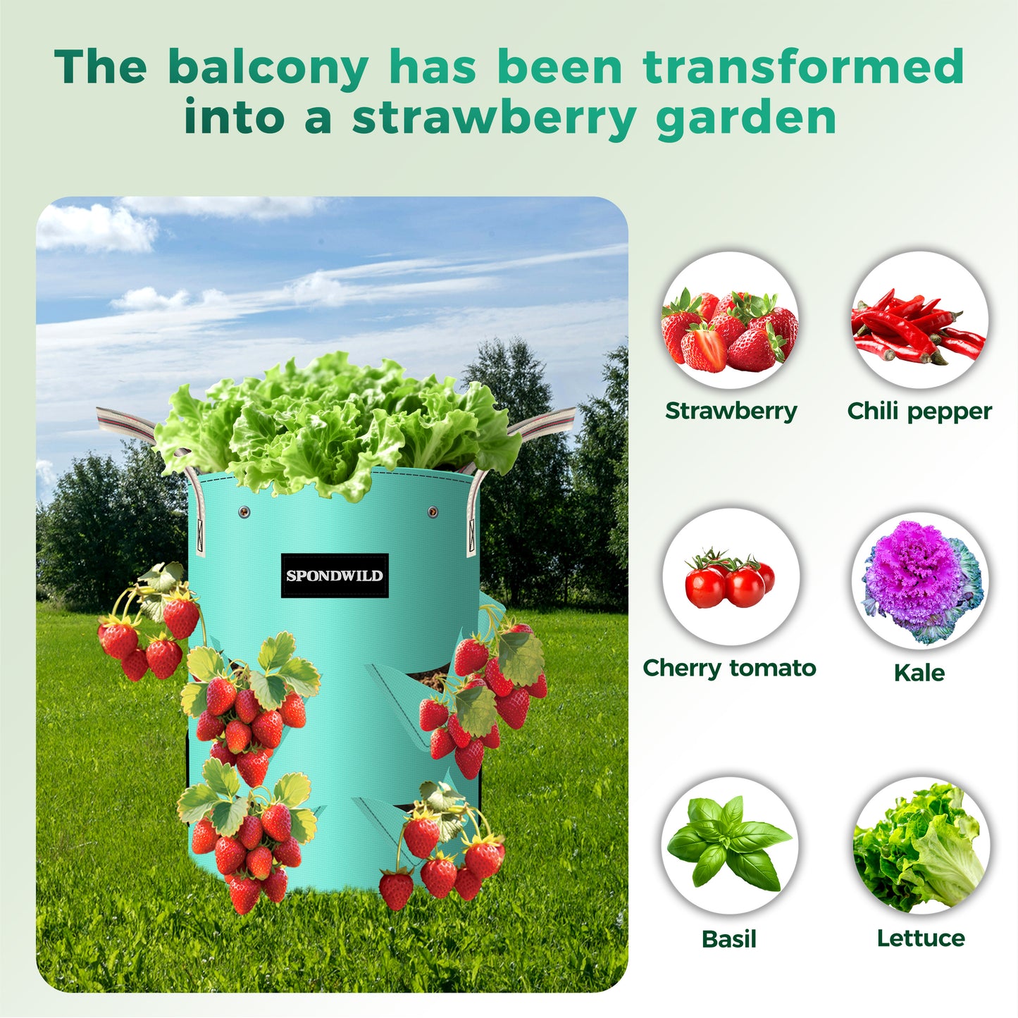 SPONDWILD 3 Pack Strawberry Grow Bags, Heavy Duty Reusable PE Pots with Breathable Window, Branch & Drainage Holes, Reinforced Handles for Strawberries, Veggies, Flowers, Balcony/Patio Use