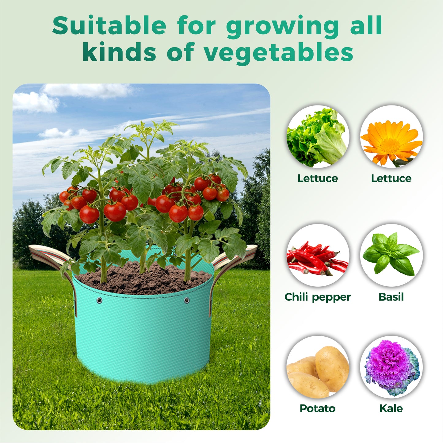 SPONDWILD 7 Pcs Potato Grow Bag, PE Garden pots Plant Grow Bag with Branch-Binding Holes and Drain holefor for Vegetables, Strawberries, Flowers