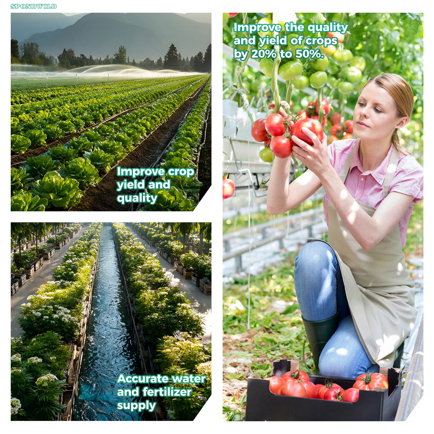 SPONDWILD 50Ft 1/4 Inch Blank Distribution Tubing - UV Protected Flexible Black Drip Hose, Universal for Garden, Potted Plants & Veggie Beds, Fits Standard Drip Components