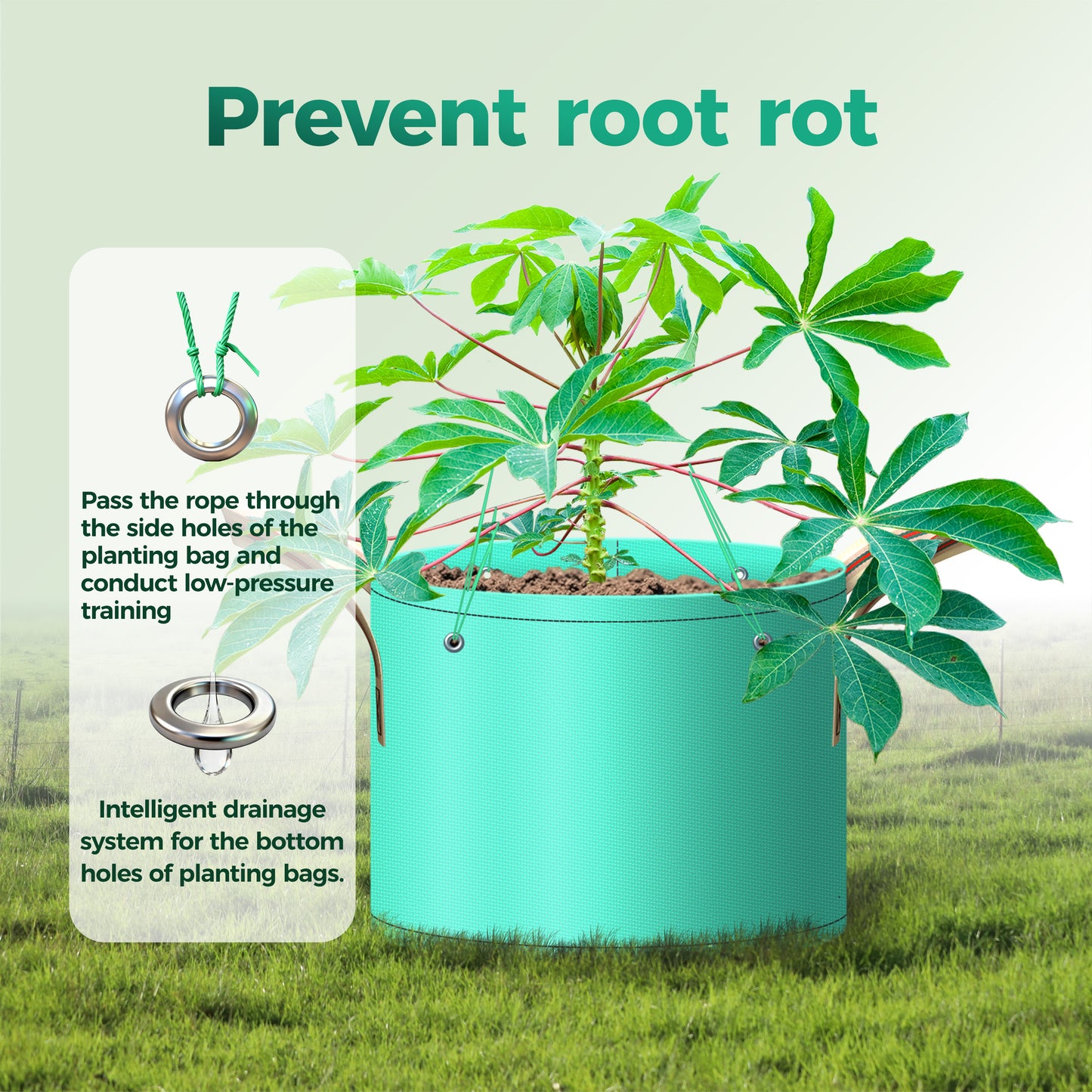 SPONDWILD 7 Pcs Potato Grow Bag, PE Garden pots Plant Grow Bag with Branch-Binding Holes and Drain holefor for Vegetables, Strawberries, Flowers