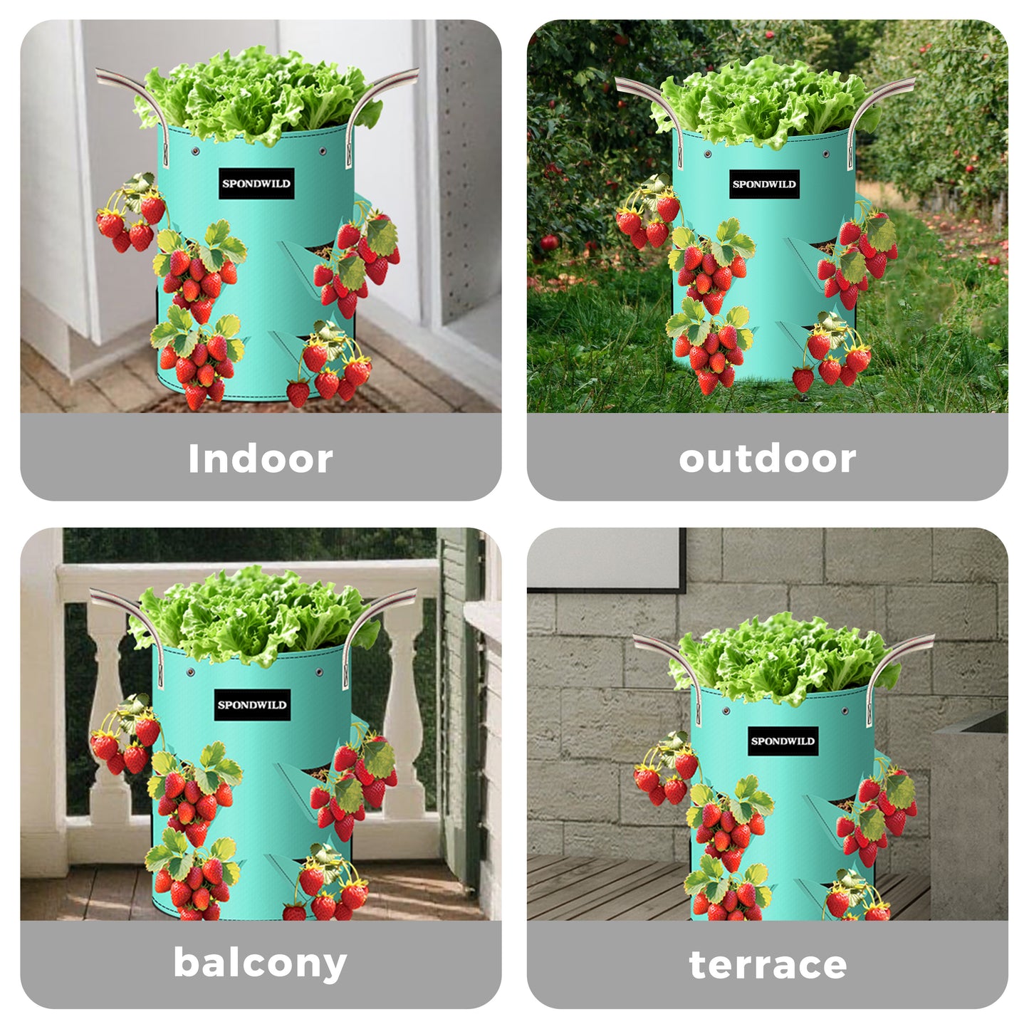 SPONDWILD 3 Pack Strawberry Grow Bags, Heavy Duty Reusable PE Pots with Breathable Window, Branch & Drainage Holes, Reinforced Handles for Strawberries, Veggies, Flowers, Balcony/Patio Use